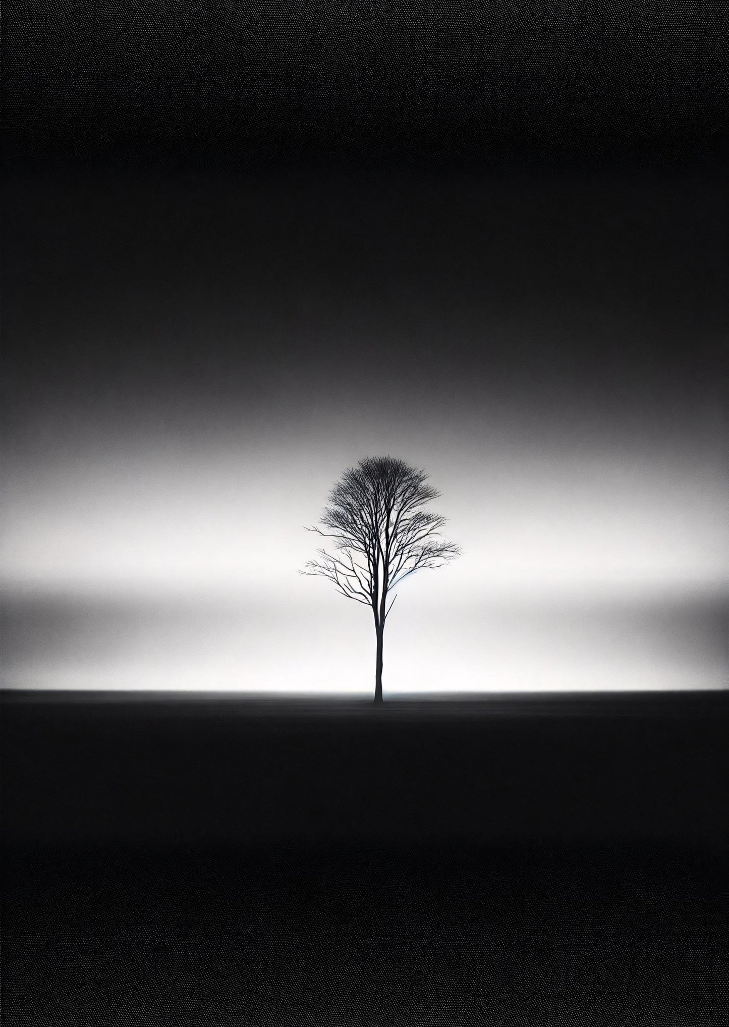 Solitary Silhouette