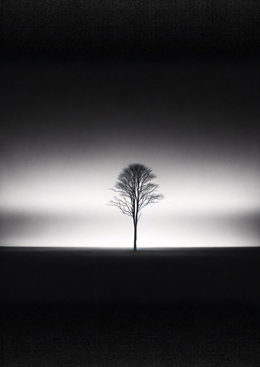 Solitary Silhouette