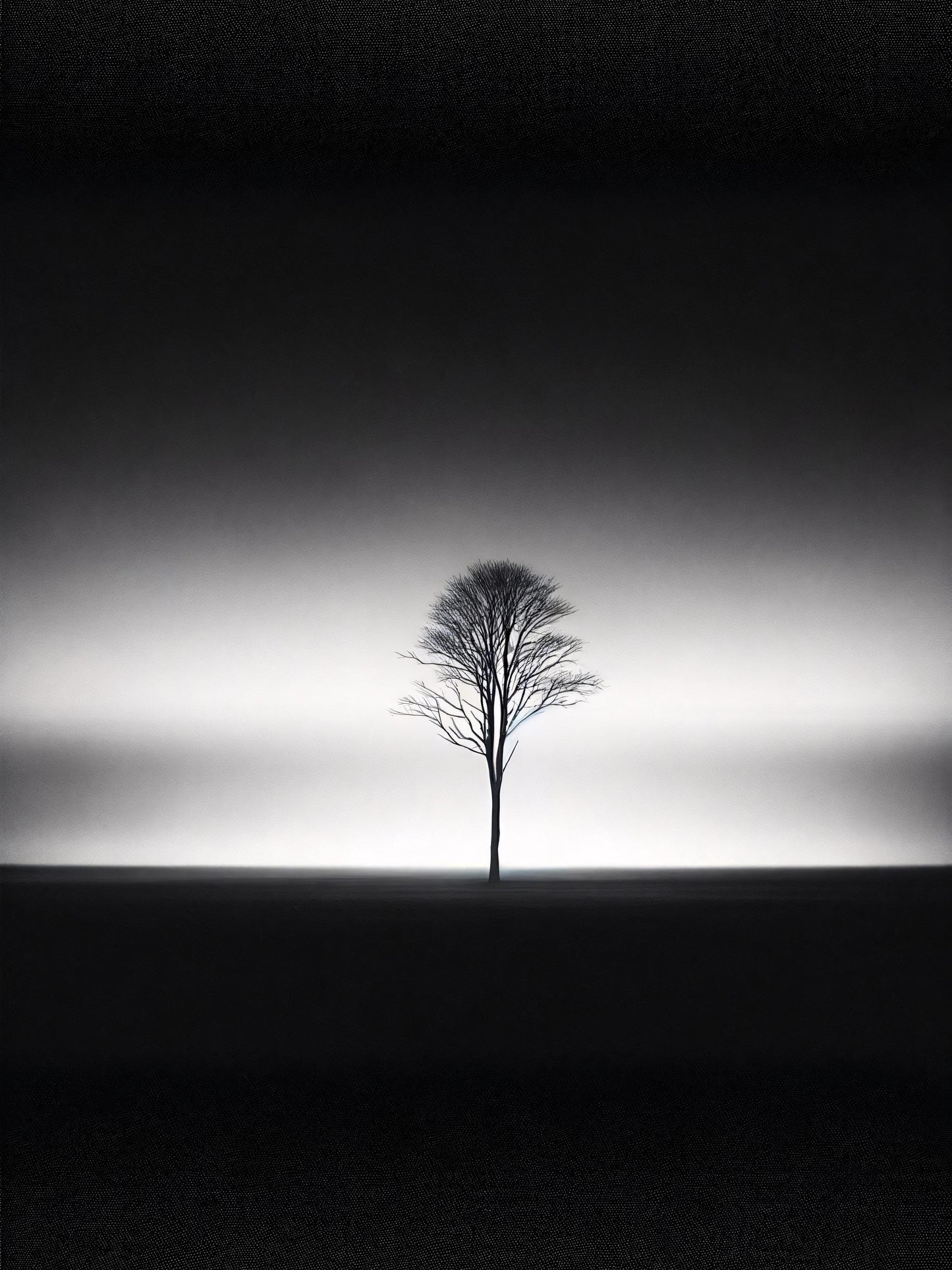 Solitary Silhouette